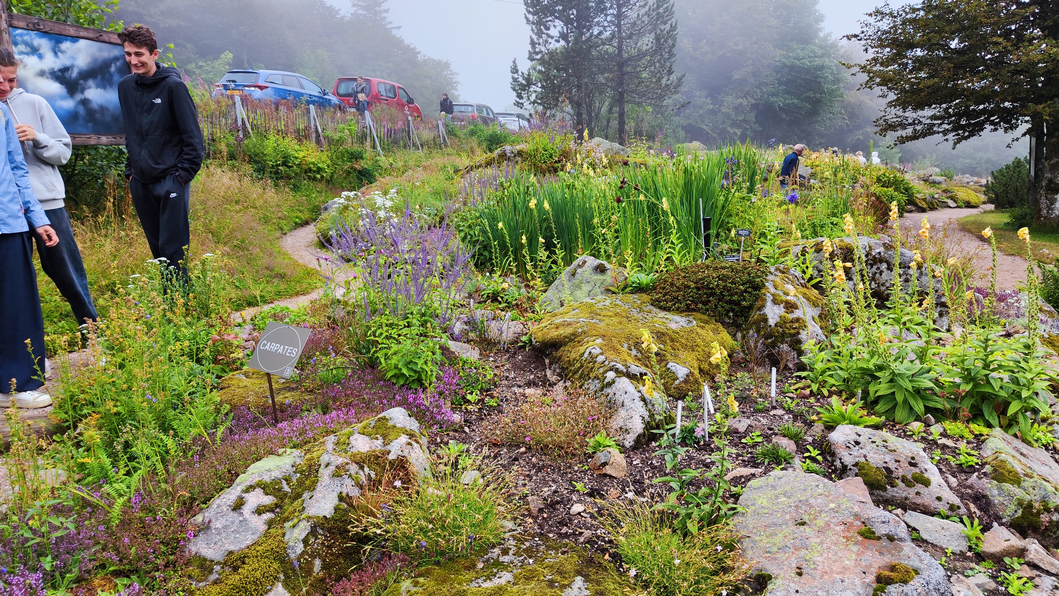 Photo n° 3 de l'avis de jerome.e fait le 26/07/2023 à 13:21