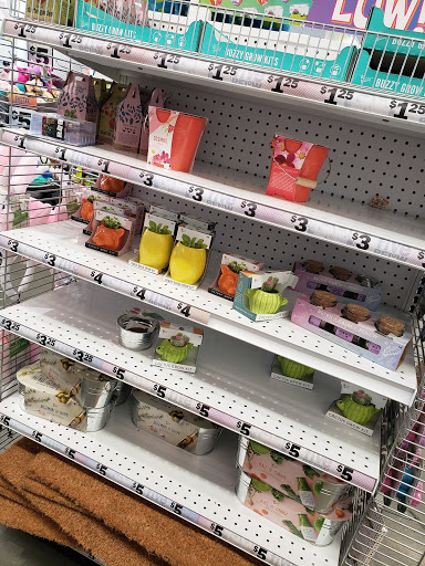 Variety Store «Five Below», reviews and photos, 245 S Stewart Rd, Liberty, MO 64068, USA