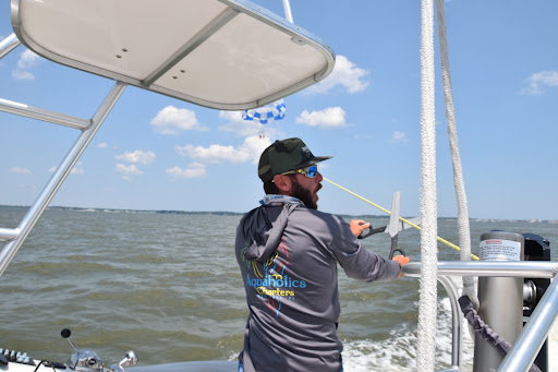Parasailing Ride Service «FLY DEWEY - Dewey Beach Parasail», reviews and photos, 113 Dickinson St, Dewey Beach, DE 19971, USA