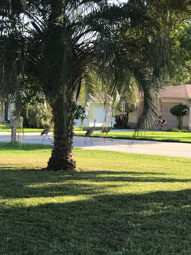 Country Club «Inverness Golf & Country Club», reviews and photos, 3150 S Country Club Dr, Inverness, FL 34450, USA