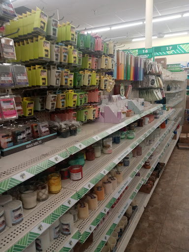 Dollar Store «Dollar Tree», reviews and photos, 9221 N 56th St, Temple Terrace, FL 33617, USA