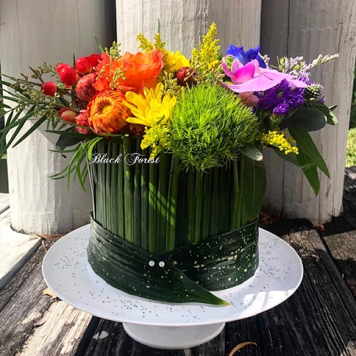 Florist «Black Forest Flowers and Gifts», reviews and photos, 3426 Tampa Rd, Palm Harbor, FL 34684, USA