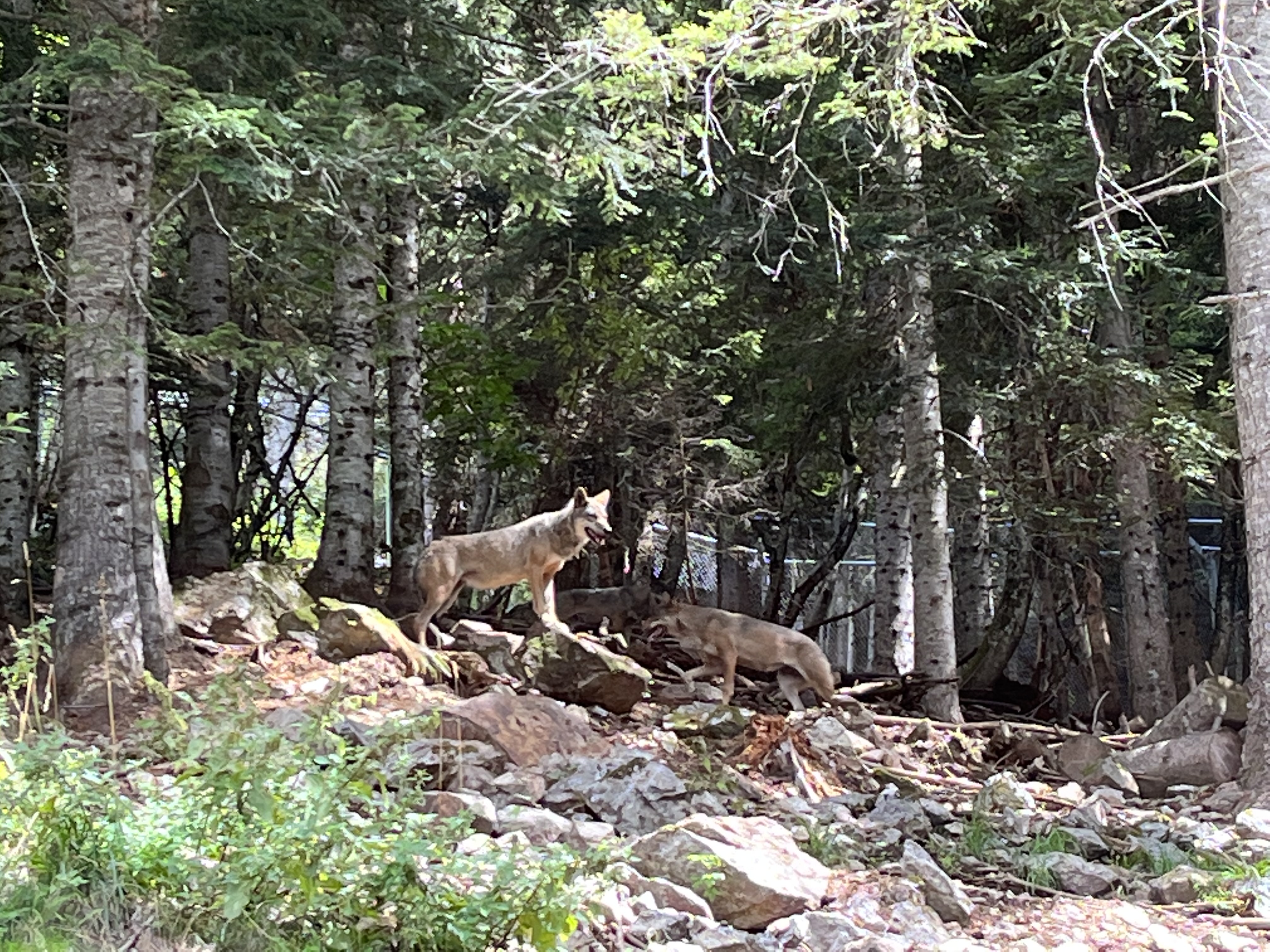 Photo n° 2 de l'avis de Jean.a fait le 28/08/2022 à 08:00