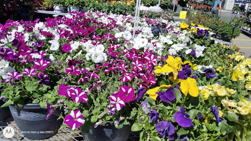 Home Improvement Store «The Home Depot», reviews and photos, 1749 Newman Rd, Okemos, MI 48864, USA