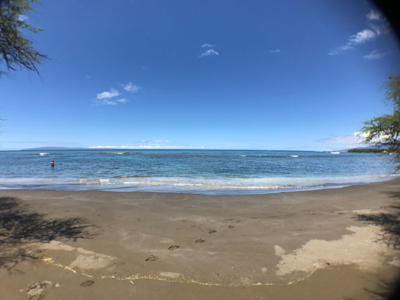 Olowalu Beach'in fotoğrafı çok temiz temizlik seviyesi ile