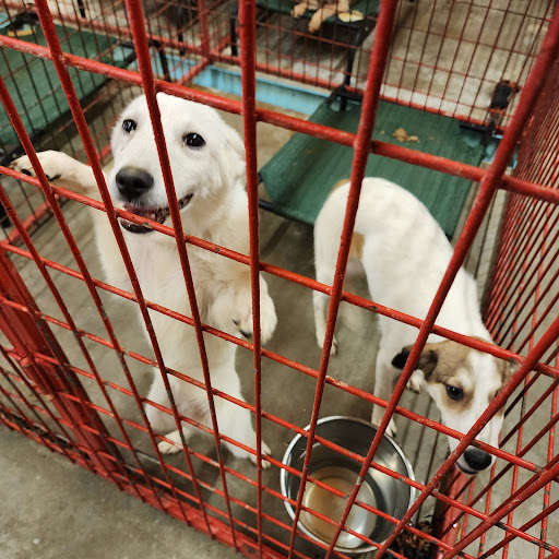 Madill Animal Shelter