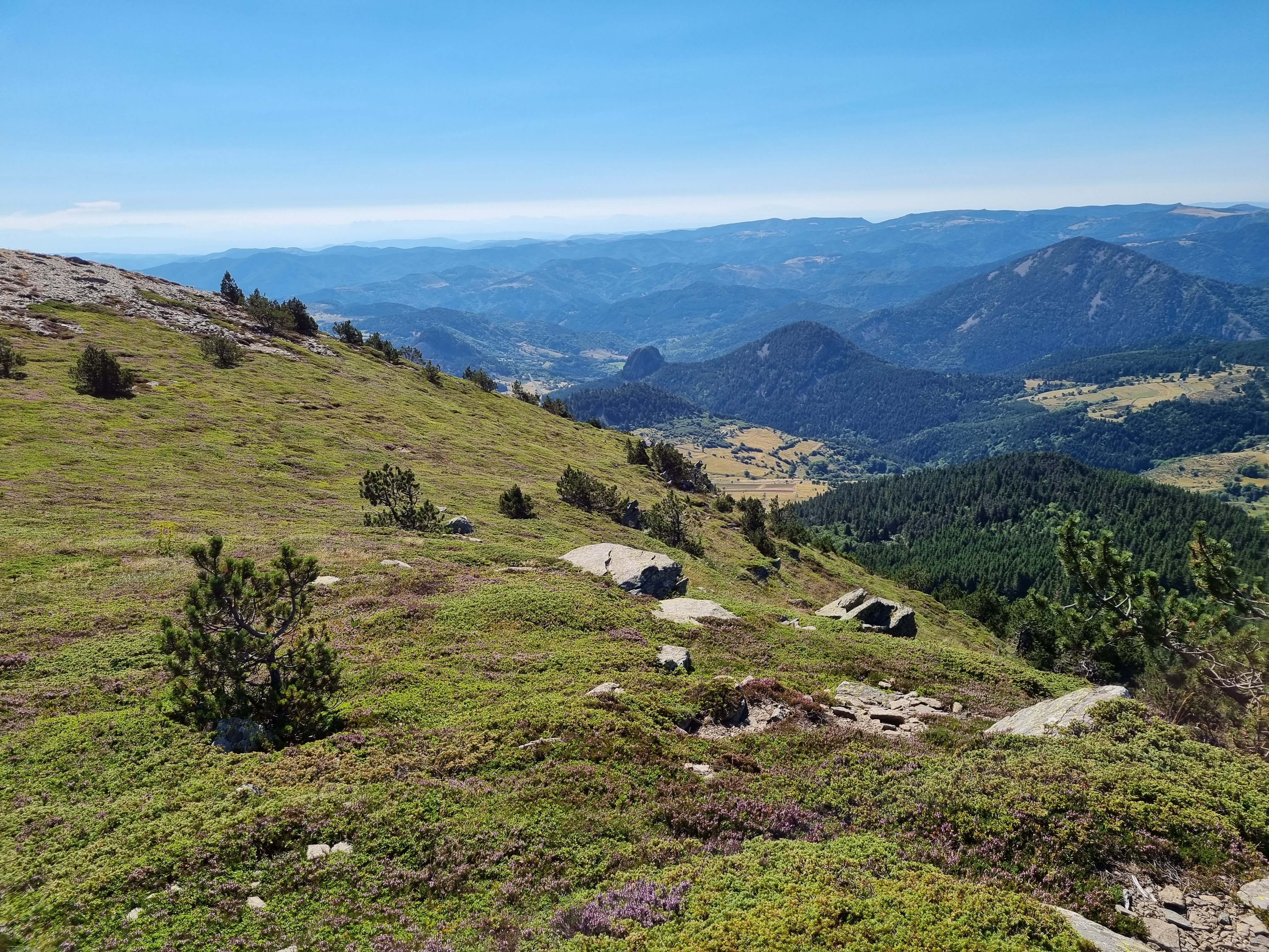 Photo n° 12 de l'avis de LD.R fait le 17/07/2022 à 16:33