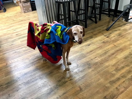 Bicycle Store «ballwin schwinn», reviews and photos, 15340 Manchester Rd, Ellisville, MO 63011, USA