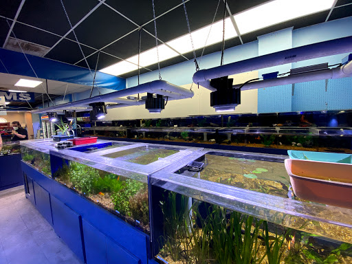 Tropical Fish Store «Marine Warehouse Aquarium», reviews and photos, 8021 W Hillsborough Ave, Tampa, FL 33615, USA