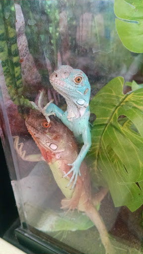 Pet Supply Store «Petco Animal Supplies», reviews and photos, 1049 S Willow St, Manchester, NH 03103, USA