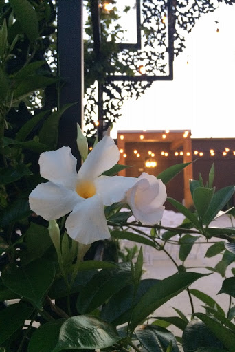 Wedding Venue «La Navona», reviews and photos, 154 N Hamilton Rd, Gahanna, OH 43230, USA