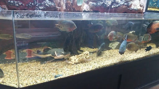 Pet Store «Miles of Exotics», reviews and photos, 8350 N Broadway, Kansas City, MO 64118, USA