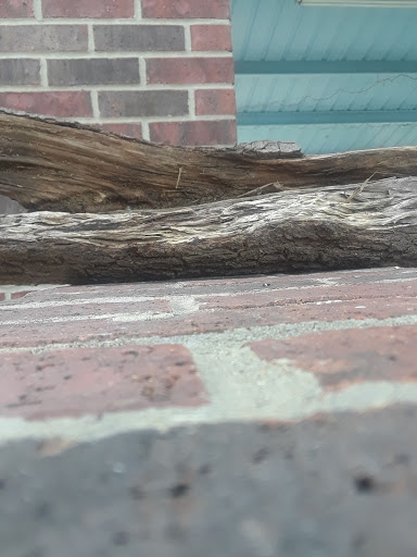 Event Venue «Hella Shrine», reviews and photos, 2121 Rowlett Rd, Garland, TX 75043, USA