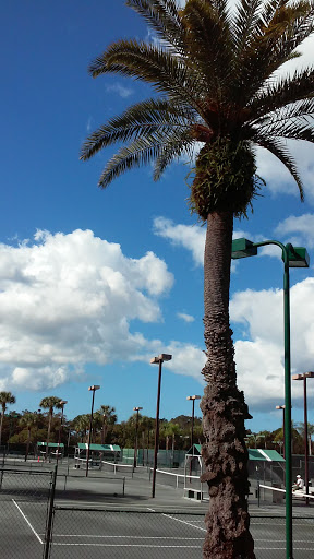 Golf Course «Countryside Country Club», reviews and photos, 3001 Countryside Blvd, Clearwater, FL 33761, USA