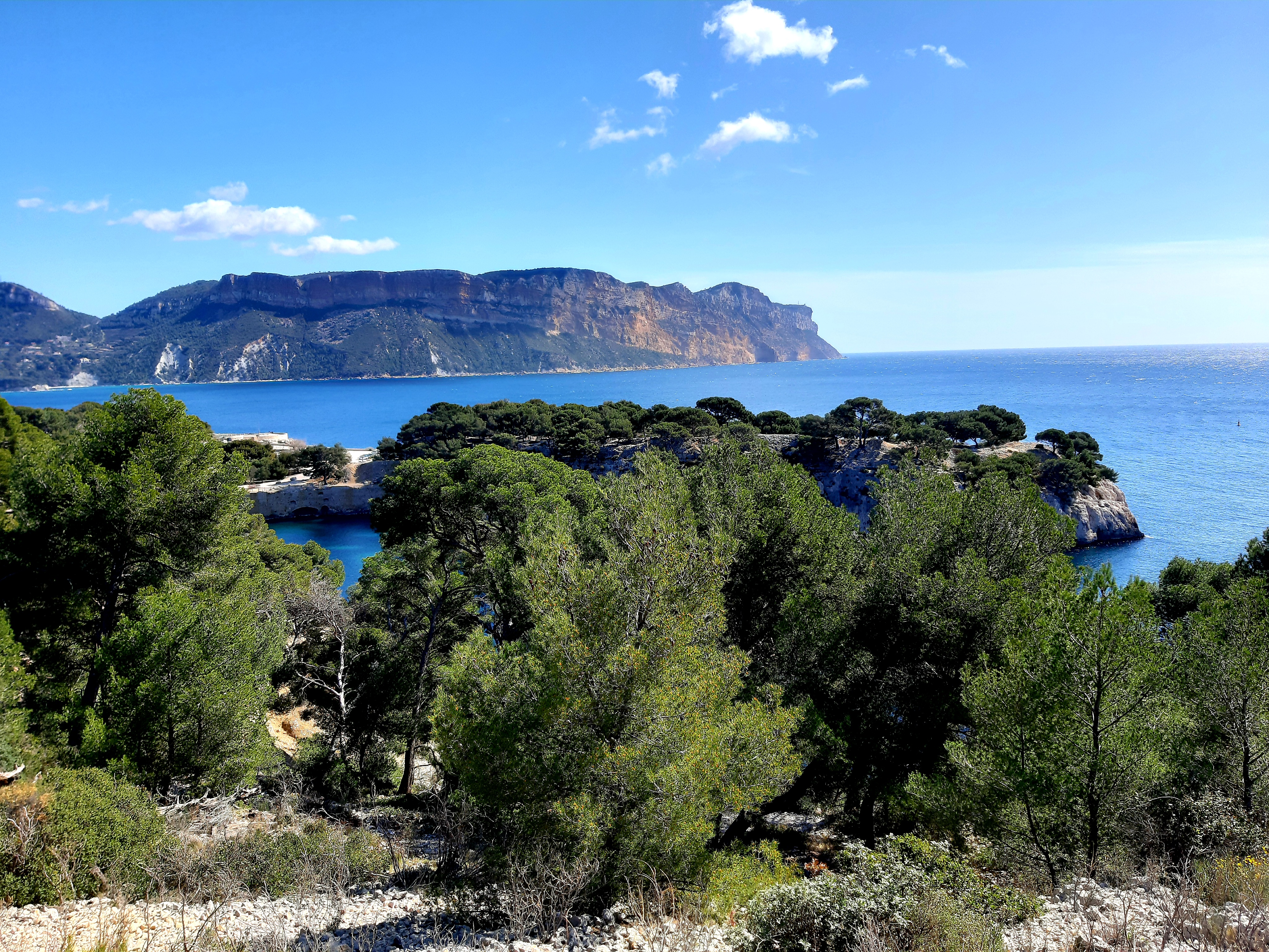 Photo n° 16 de l'avis de Islas.a fait le 27/03/2021 à 17:41