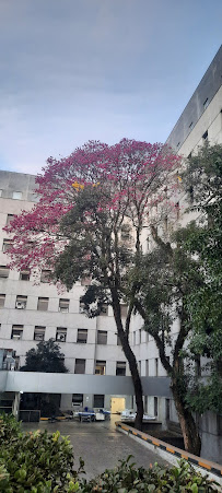 Clinical Hospital FMUSP - Photo 7 - Car repair in São Paulo - State of São Paulo, Brazil, Plano