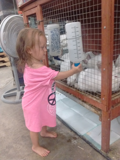 Department Store «Rural King», reviews and photos, 1800 S Ohio St, Martinsville, IN 46151, USA