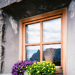 Photo n°2 de l'avis de Alexandra.a fait le 28/08/2023 à 20:40 sur le  Tschötsch Alm à Seiser Alm