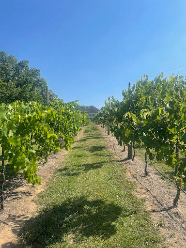 Winery «Little Vine Vineyards», reviews and photos, 665 N Hulett Rd, Villa Rica, GA 30180, USA