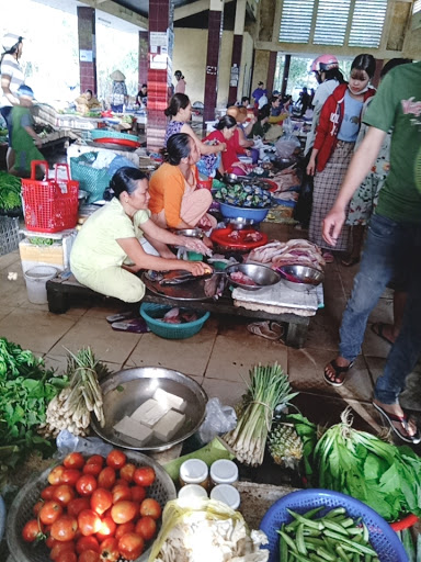 Top 12 cửa hàng tép cảnh Huyện Phú Vang Thừa Thiên Huế 2022