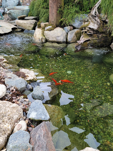 The Koi Tank, LLC