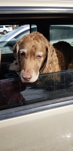 Coffee Shop «Starbucks», reviews and photos, 2490 Main St, Lake Placid, NY 12946, USA
