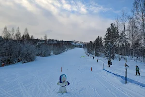 Hassela Ski Resort AB image