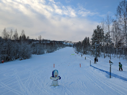 Hassela Ski Resort - upplevelser och vinteraktiviteter