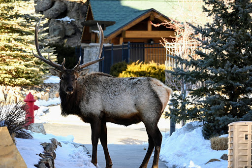 Shopping Mall «Base-Mar Shopping Center», reviews and photos, 2450 Baseline Rd, Boulder, CO 80305, USA