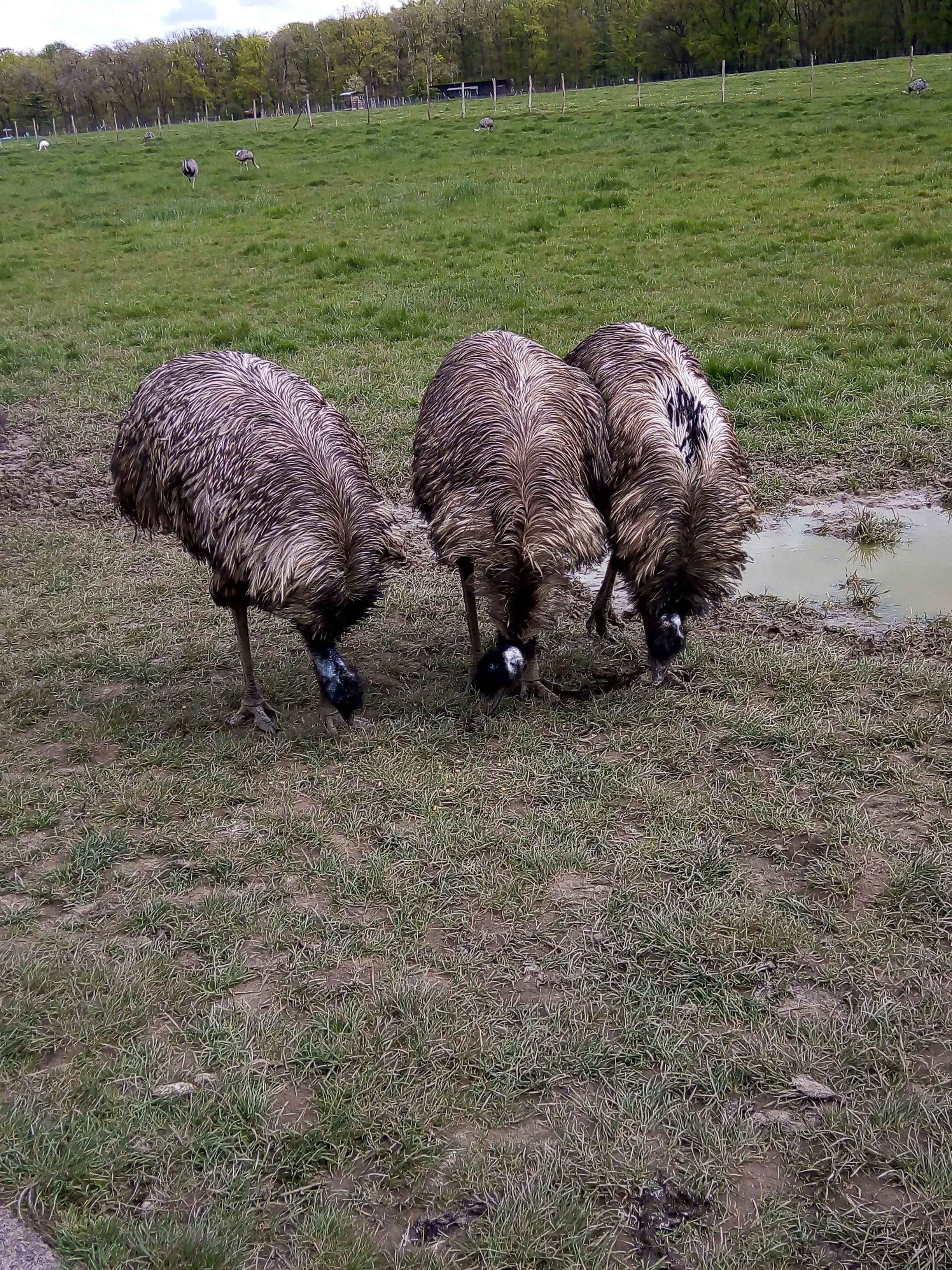 Photo n° 4 de l'avis de Nathalie.l fait le 13/05/2023 à 23:14