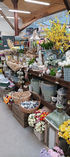 Komentáře a recenze na Zahradní centrum Školky Montano