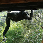 Photo n°1 de l'avis de Agnese.e fait le 29/04/2019 à 20:33 sur le  Parco Zoo Falconara Srl à Falconara Marittima