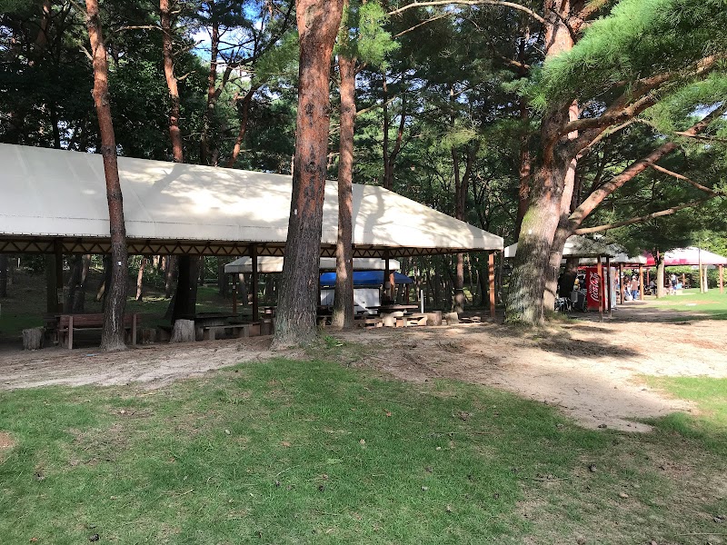 新潟県立紫雲寺記念公園事務所