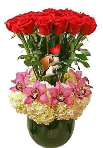 Sporting Goods Store «Big 5 Sporting Goods», reviews and photos, 2503 Cleveland Ave, Santa Rosa, CA 95403, USA