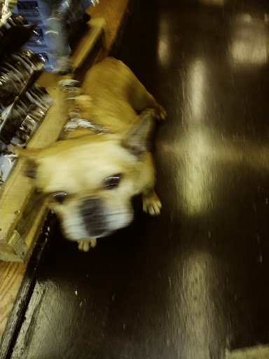 Pet Supply Store «Global Pet Food Outlet», reviews and photos, 20210 Normandie Ave, Torrance, CA 90502, USA