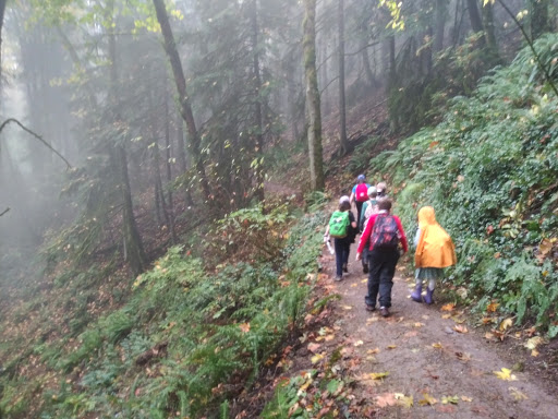 Non-Profit Organization «Audubon Society of Portland», reviews and photos, 5151 NW Cornell Rd, Portland, OR 97210, USA