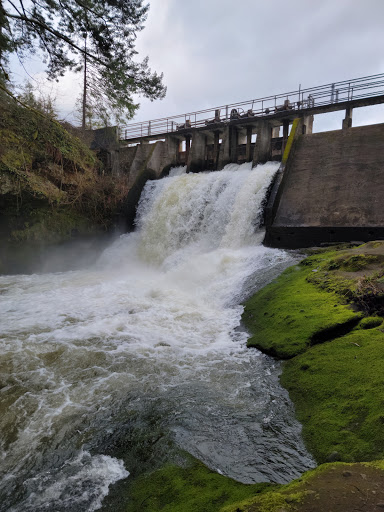 Produce Market «Camas Produce», reviews and photos, 2940 NE Everett St, Camas, WA 98607, USA