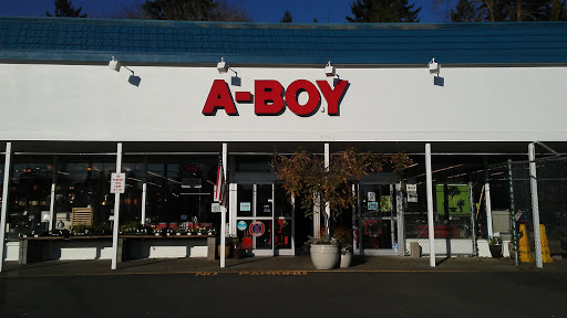 Home Goods Store «A-Boy Electric & Plumbing», reviews and photos, 7365 SW Barbur Blvd, Portland, OR 97219, USA