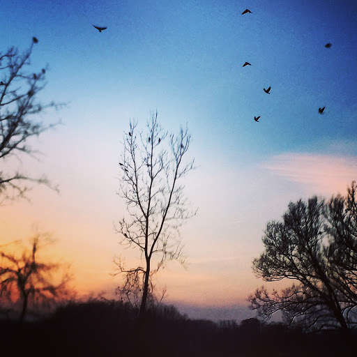 Golf Course «J. E Good Park Golf Course», reviews and photos, 530 Nome Avenue, Akron, OH 44320, USA