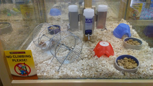 Pet Supply Store «Pet Supermarket», reviews and photos, 7822 Gall Blvd, Zephyrhills, FL 33541, USA