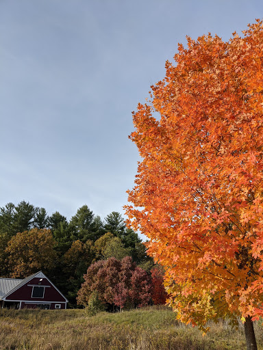 State Park «Great Brook Farm State Park», reviews and photos, 165 N Rd, Carlisle, MA 01741, USA