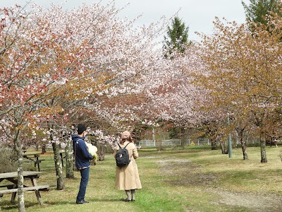 ハヤブサ公園