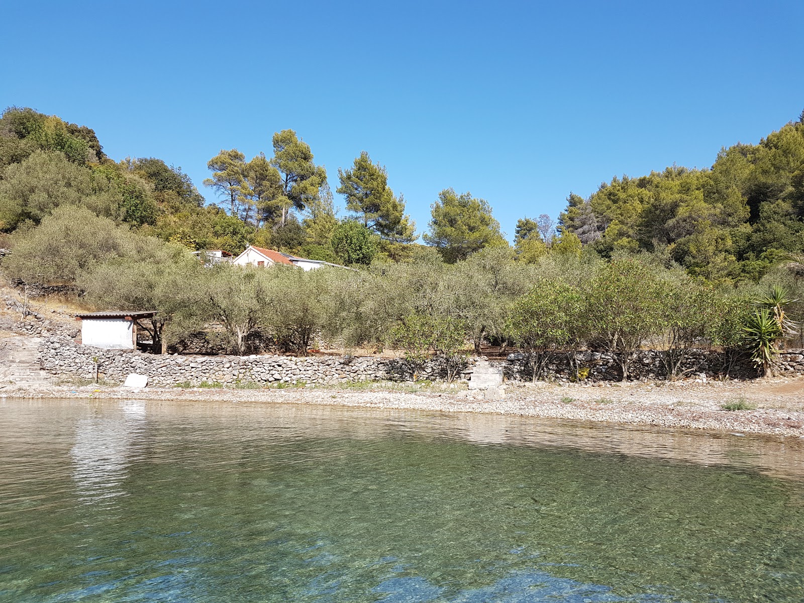 Plaza Gabrica'in fotoğrafı vahşi alan