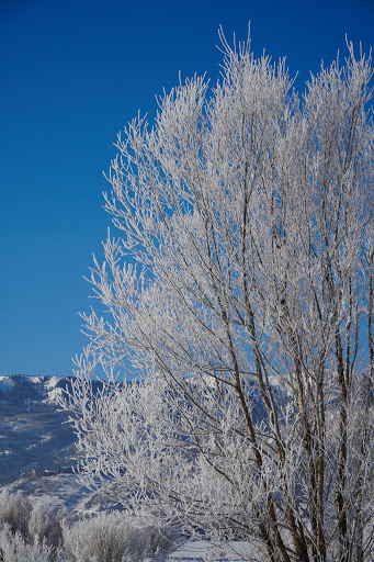 Nature Preserve «Swaner Preserve and EcoCenter», reviews and photos, 1258 Center Dr, Park City, UT 84098, USA