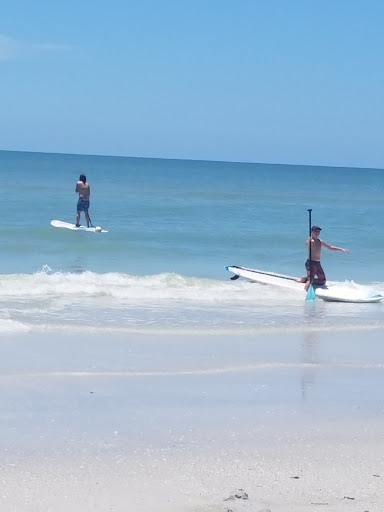 Surf Shop «Shoreline Surf & Skate Shop», reviews and photos, 17725 Gulf Blvd, Redington Shores, FL 33708, USA