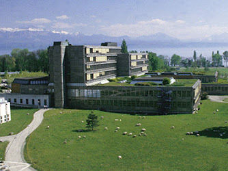 CEFC China Economics and Finance Center, HEC Lausanne, University of Lausanne
