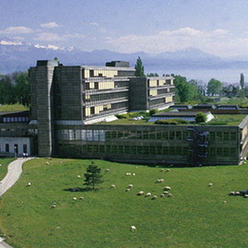 CEFC China Economics and Finance Center, HEC Lausanne, University of Lausanne