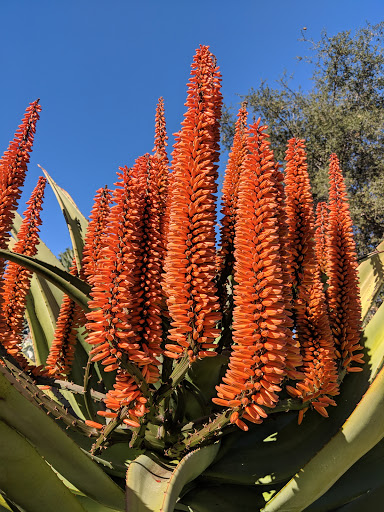 Park «Crown Valley Park / Laguna Niguel Parks & Recreation», reviews and photos, 29751 Crown Valley Pkwy, Laguna Niguel, CA 92677, USA