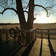 Blue River Trailhead, Boardwalk