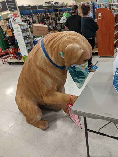 Pet Supply Store «PetSmart», reviews and photos, 4731 Commercial Dr, New Hartford, NY 13413, USA